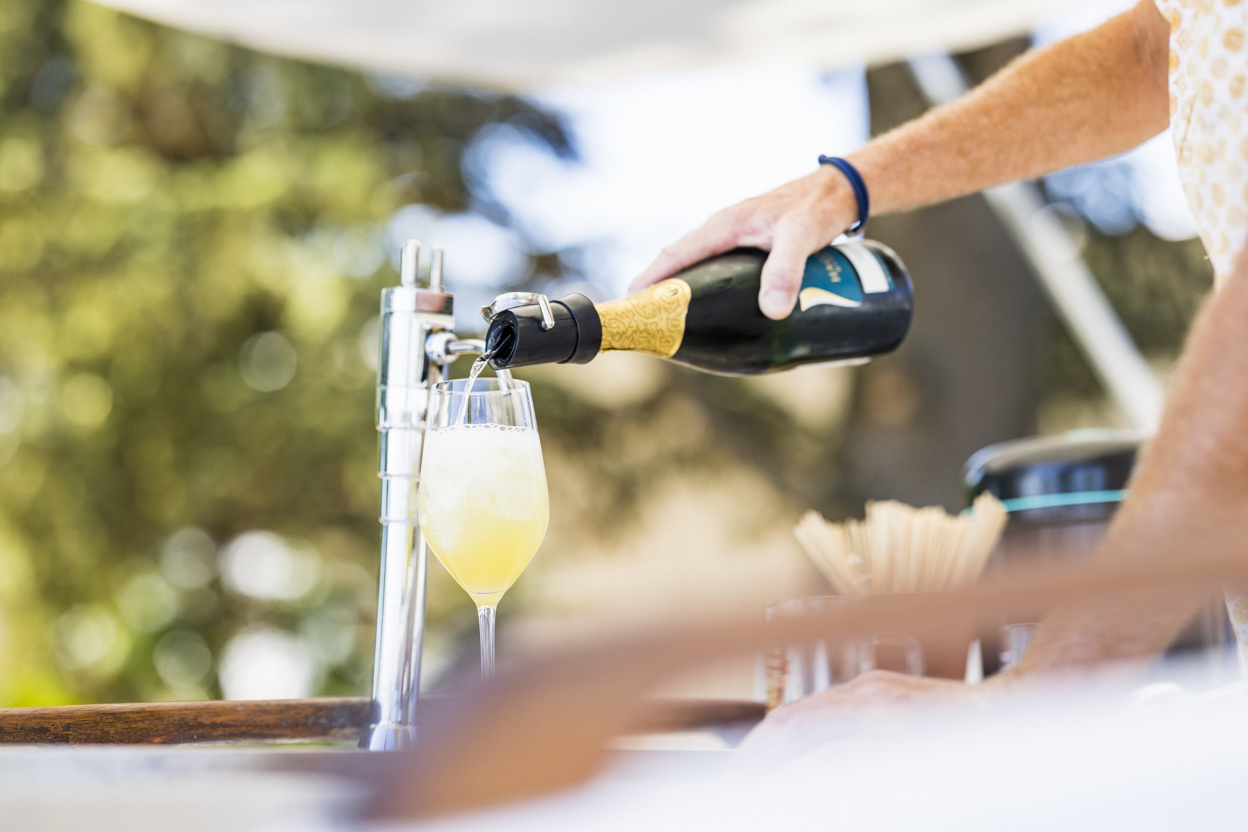 Lady Yellow wird frisch in ein Glas eingeschenkt
